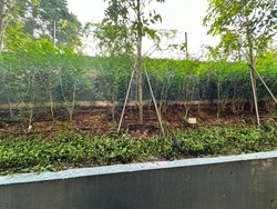 Fourth Avenue Residences (D10), Apartment #543070021